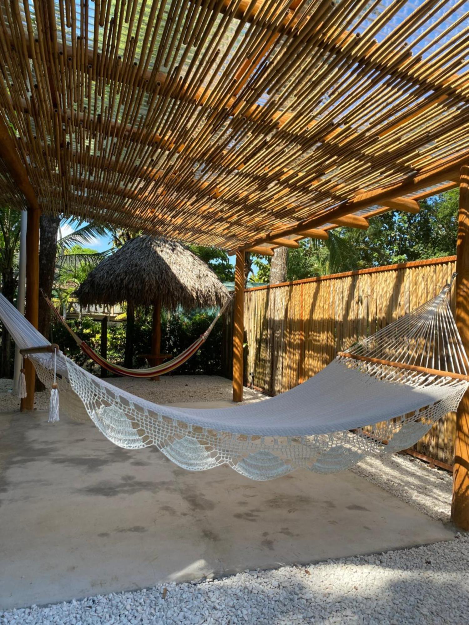 Jazlyn Lodge & Tours パケラ エクステリア 写真