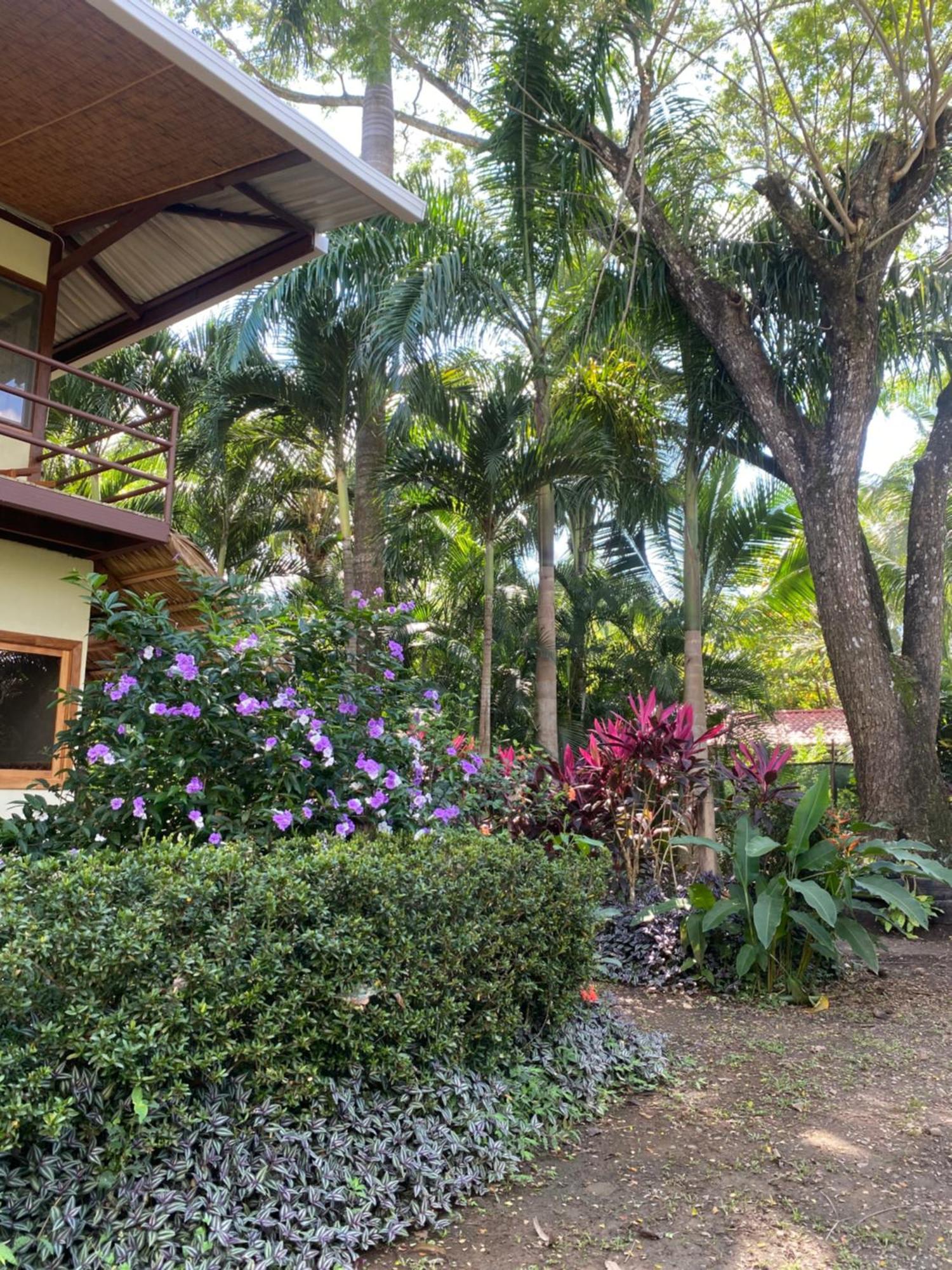 Jazlyn Lodge & Tours パケラ エクステリア 写真